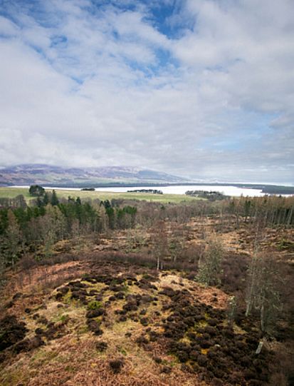 The Skelbo Forest broch (Grid Ref: NH 783944)